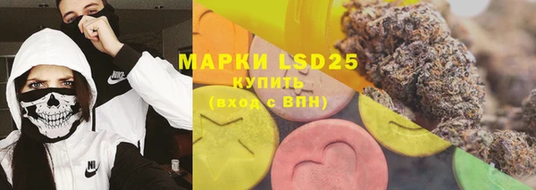 прущие грибы Балабаново