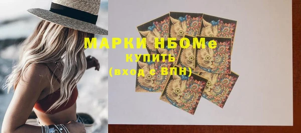 прущие грибы Балабаново