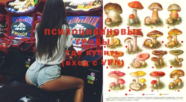 прущие грибы Балабаново