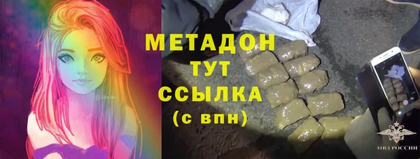 прущие грибы Балабаново