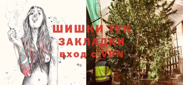 прущие грибы Балабаново