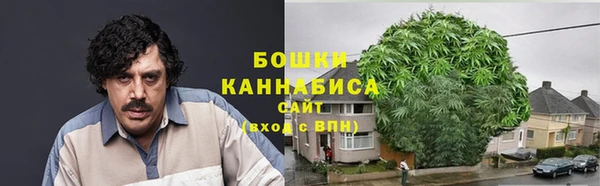 прущие грибы Балабаново