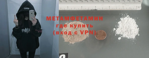 прущие грибы Балабаново