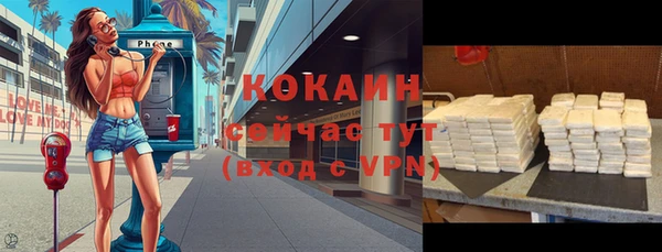 прущие грибы Балабаново