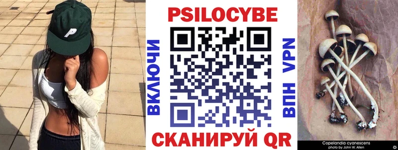 kraken как войти  Губаха  Псилоцибиновые грибы Magic Shrooms 