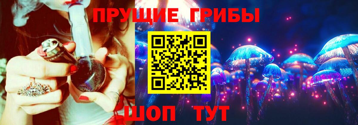 Губаха  Псилоцибиновые грибы Psilocybine cubensis  как найти закладки  Вход с VPN 